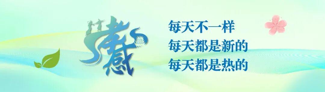 开云-“战斗，孝感队！”今天比赛现场，超燃！